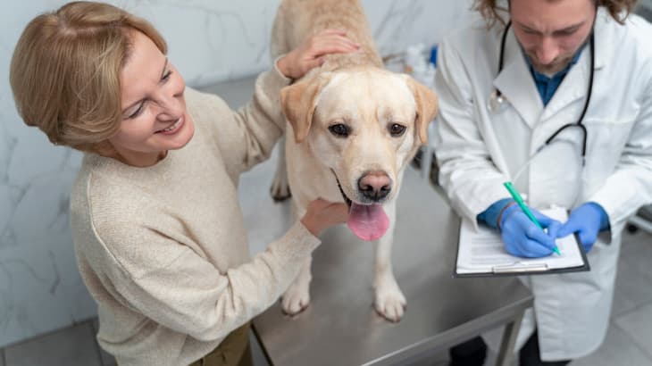 5 Simple Tips For Keeping Your Pet Healthy And Happy
